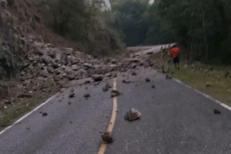BMKG Ungkap Tanah di Flores Bergeser Usai Gempa M7,7, Jalan hingga Jembatan Terdampak
