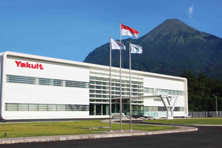 Yakult Indonesia Buka Lowongan Assistant Sales Staff di Solok, Lulusan SMA/SMK Bisa Melamar