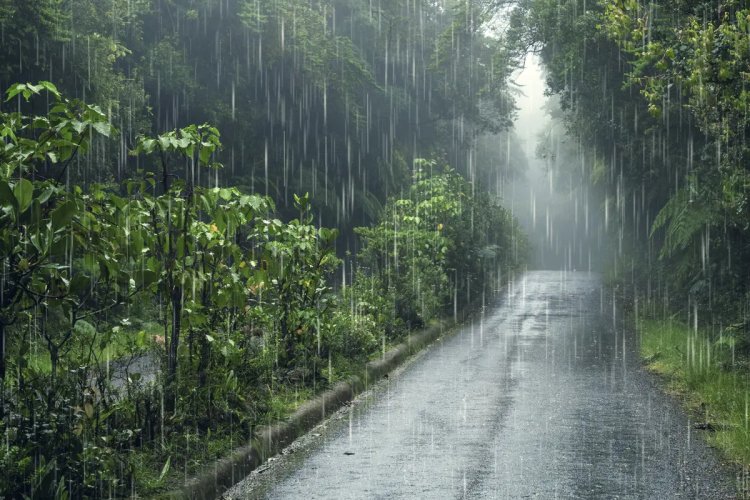 BMKG Peringatkan Angin Kencang di Mentawai, Hujan Ringan Landa Sebagian Besar Sumbar