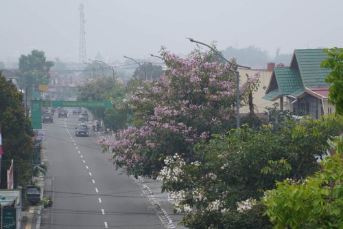 ISPU Padang Panjang Sentuh 197, Sekolah Kembali Belajar dari Rumah Tiga Hari