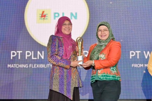 PLN Raih Dua Penghargaan UN Women Indonesia, Lingkungan Kerja Inklusif Jadi Kunci