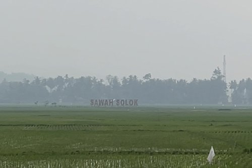 Kualitas Udara Kota Solok Memburuk, ISPU Sentuh Angka 170 dan Warga Diminta Batasi Aktivitas Luar