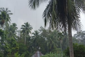 Prakiraan BMKG Sumbar: Udara Kabur Warnai Pagi dan Malam, Hujan Baru Mulai Siang