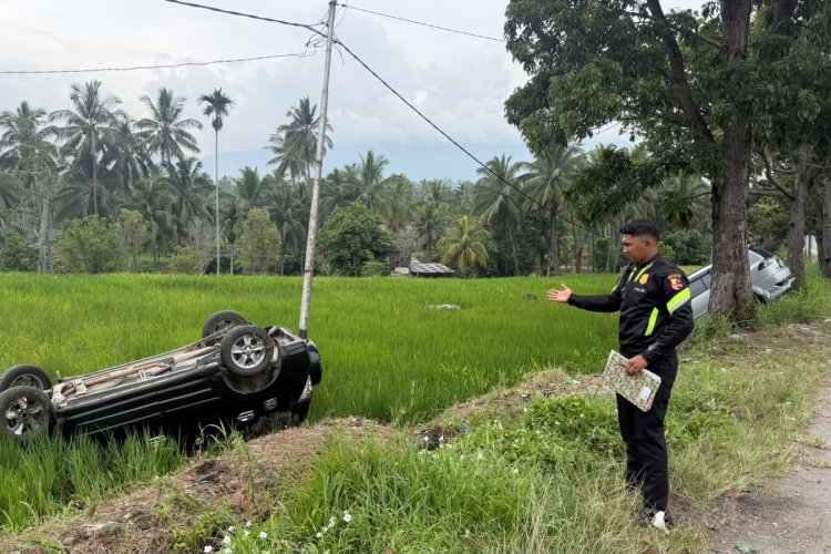 Jalan Licin Bikin Dua Mobil Selip dan Terjun ke Sawah di Jalur Solok-Padang