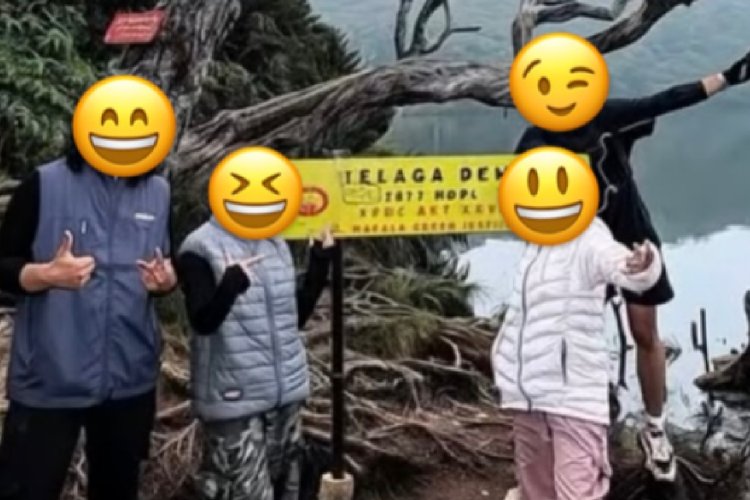 Lima Pendaki Diduga Nekat Naik Gunung Singgalang Saat Jalur Ditutup, BKSDA Diminta Periksa