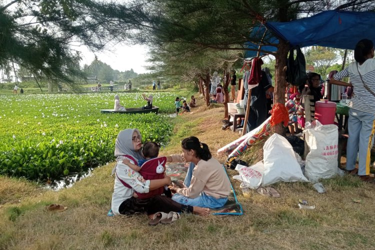 Kolam Terbengkalai di Pasir Jambak Disulap Jadi Taman Eceng Gondok, Gratis dan Ramai Dikunjungi
