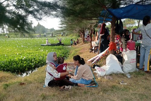 Kolam Terbengkalai di Pasir Jambak Disulap Jadi Taman Eceng Gondok, Gratis dan Ramai Dikunjungi