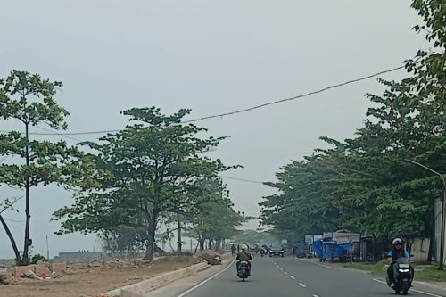 Kabut Asap Selimuti Padang, BMKG Sebut Asap Karhutla Jambi dan Sumsel Terbawa Angin