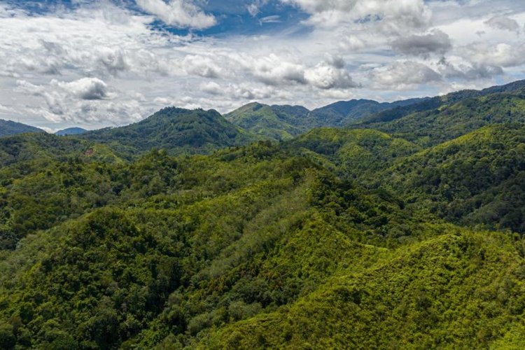 Bappenas Kejar Rampung Roadmap Bioekonomi Desember 2028, PDB Berpotensi Naik Tiga Kali Lipat