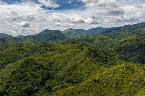 Bappenas Kejar Rampung Roadmap Bioekonomi Desember 2028, PDB Berpotensi Naik Tiga Kali Lipat
