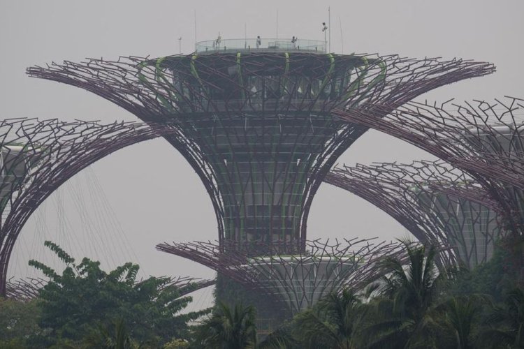 Singapura Tuding 10 Perusahaan Picu Karhutla, APP Group Buka Suara soal Tudingan Itu