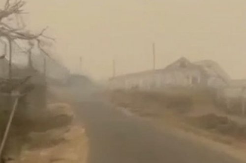 Kabut Asap Karhutla Lumpuhkan 16 Bandara di Papua, Penerbangan Terancam