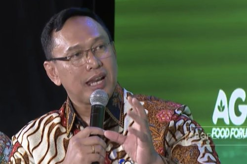 Bulog Klaim Indonesia Nyaris Swasembada Pangan, Serapan Gabah Tembus 4,18 Juta Ton