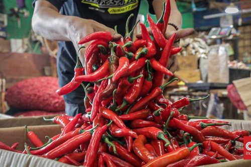 Harga Cabai di 314 Daerah Melonjak, Tertinggi Tembus Rp193 Ribu per Kilogram