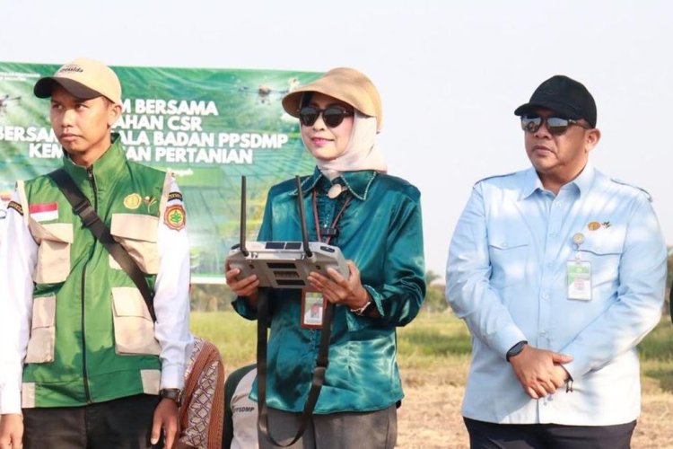 Kementan Genjot Tanam Serempak di 25 Provinsi, Target Indeks Pertanian Naik ke IP 300