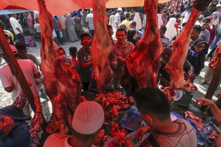 Agrifood Forum 2026 Digelar 19 Oktober, Tiga Sesi Bahas Protein hingga Daya Saing Pangan