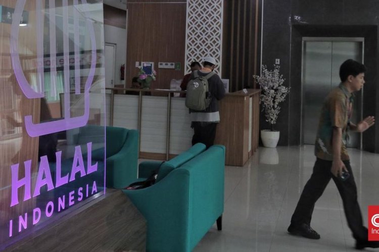 Wajib Halal UMKM Mulai 17 Oktober, Kemenko Perekonomian Ungkap Strategi Bertahapnya