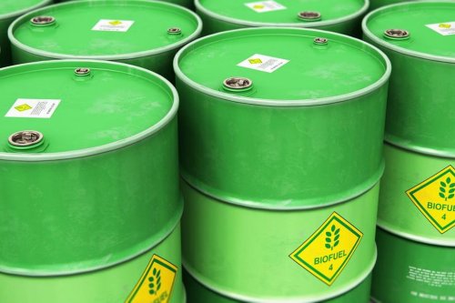 GAPKI Dorong Aturan Biofuel Lebih Lentur, Pasokan Sawit Bisa Diarahkan ke Ekspor