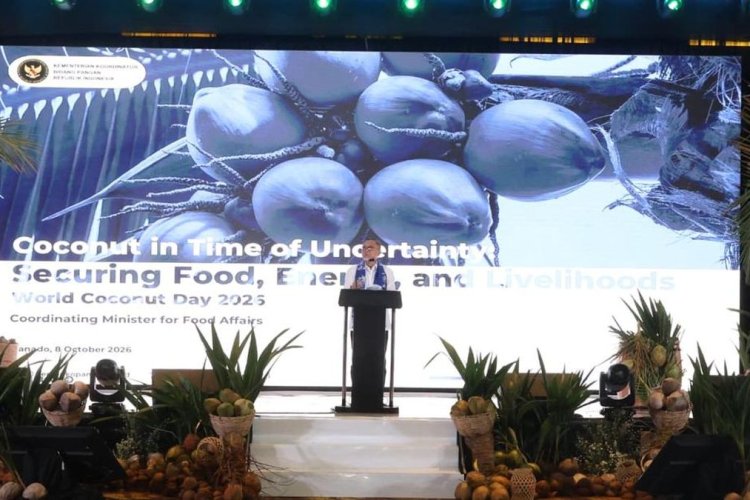 Kelapa Kini Jadi Rebutan Dunia, Pemerintah Siapkan 51.721 Hektare Kawasan Baru pada 2027
