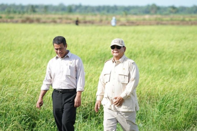 Prabowo Minta Amran Pastikan Lahan Pangan Baru Tak Sentuh Hutan Primer