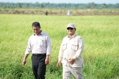 Prabowo Minta Amran Pastikan Lahan Pangan Baru Tak Sentuh Hutan Primer