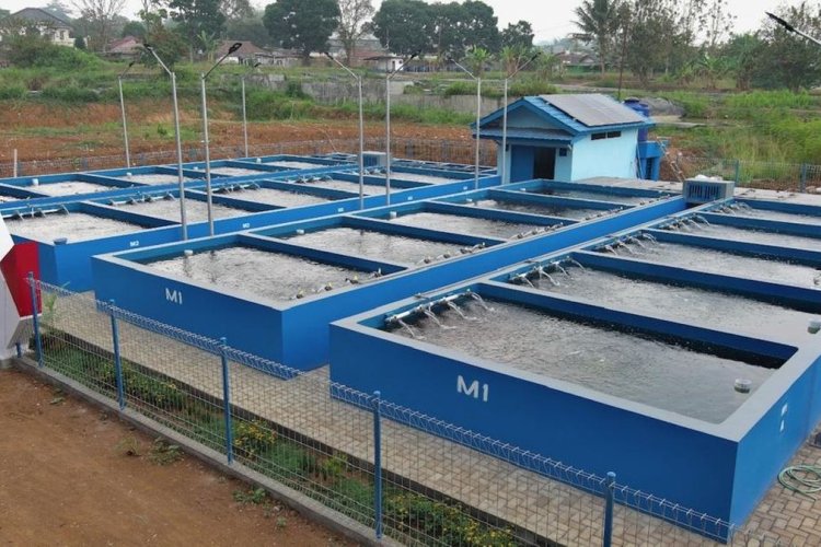 KKP Jangkau 76 Titik di DIY, Budi Daya Ikan Tematik Jadi Motor Penggerak Ekonomi Desa