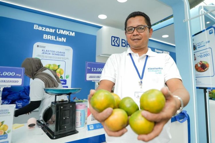 Dulu Angkut Jeruk Pakai Motor, Kini Antoni Kirim 3 Truk Sehari ke Berbagai Daerah