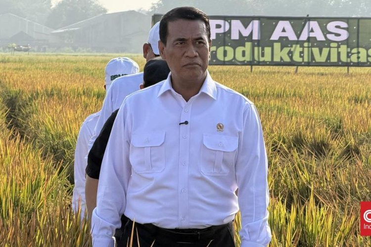 Peternak dan Konsumen Sama-sama Mengeluh Soal Harga, Amran Sebut Ada yang Tidak Beres di Rantai Pasok