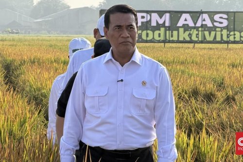 Peternak dan Konsumen Sama-sama Mengeluh Soal Harga, Amran Sebut Ada yang Tidak Beres di Rantai Pasok