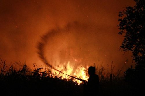 Wamenko Hanif Ungkap Karhutla Kalteng Makin Luas, 100 Ribu Hektare Lahan Ludes Terbakar