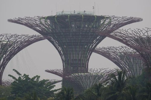 Singapura Panggil 8 Bos Sawit Indonesia, Aturan Hukum Diperketat untuk Kasus Karhutla