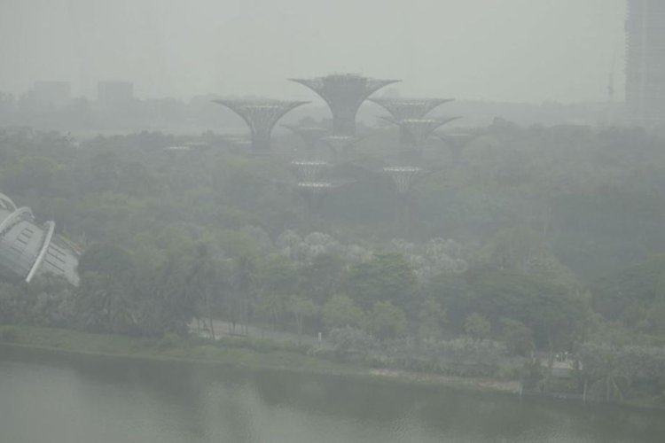 Singapura Tuding 7 Perusahaan di Indonesia Picu Kabut Asap, NEA Layangkan Pemberitahuan Resmi