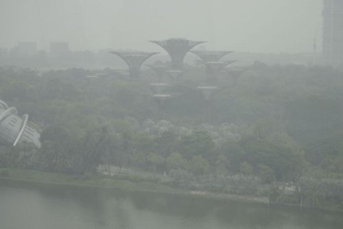 Singapura Tuding 7 Perusahaan di Indonesia Picu Kabut Asap, NEA Layangkan Pemberitahuan Resmi