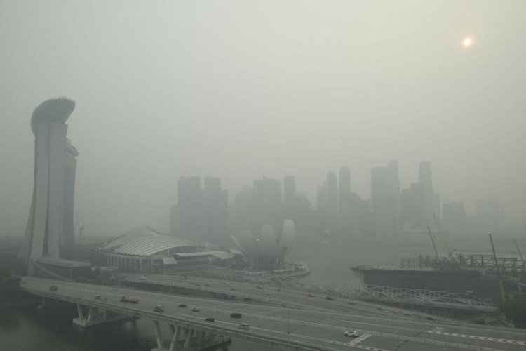Singapura Layangkan Peringatan ke Tujuh Perusahaan RI, Denda hingga Tuntutan Hukum Mengintai
