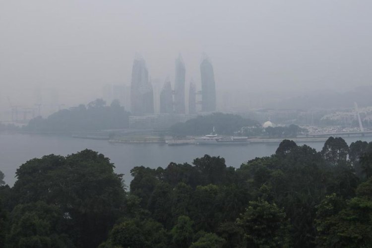 Singapura Murka Dikepung Asap Karhutla Indonesia, Perusahaan Pemicu Kini Diburu