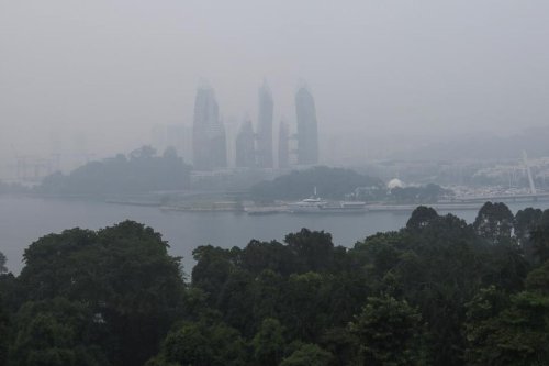 Singapura Murka Dikepung Asap Karhutla Indonesia, Perusahaan Pemicu Kini Diburu