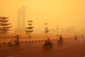 Langit Oranye di Kalimantan Tengah Jadi Sorotan Dunia, PM2.5 Tembus 3.000