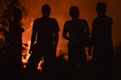 Singapura Kantongi Nama 7 Perusahaan di RI yang Diduga Picu Kabut Asap Lintas Batas