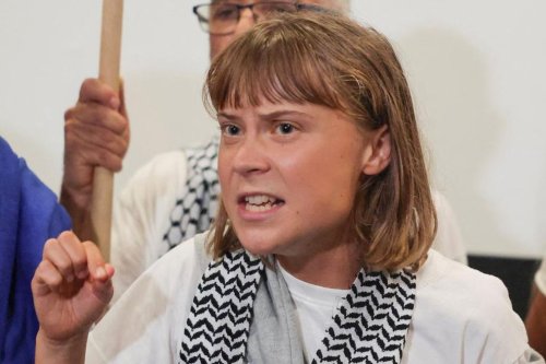 Greta Thunberg Soroti Karhutla Indonesia, Sebut Krisis Api dan Kabut Belum Usai