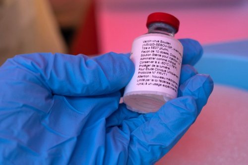 Nigeria Umumkan Kasus Ebola Pertama, Galur Virus Disebut Identik dengan Pasien Kenya