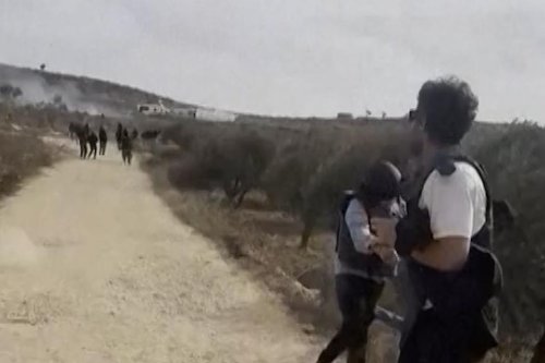 Jurnalis Foto AS Terluka Saat Liput Panen Zaitun, Diserang Puluhan Pemukim Israel di Tepi Barat