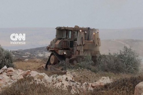 Militer Israel Gusur Kebun Zaitun Warga Palestina di Tepi Barat, Pemilik Lahan Mengaku Tak Berdaya