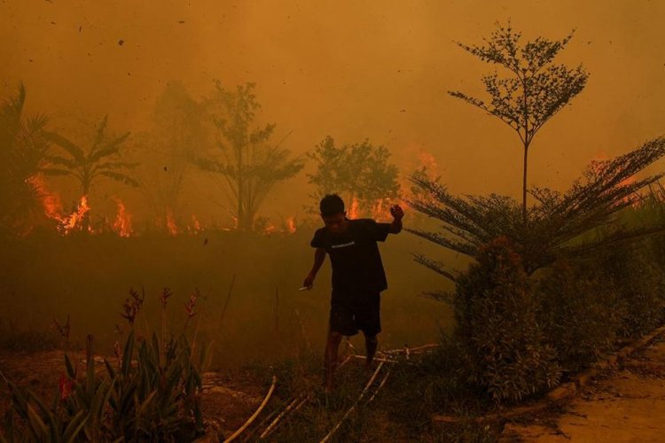 1,9 Juta Hektare Lahan di Indonesia Terbakar, Nusantara Atlas Sebut Setara 12 Kali Luas London