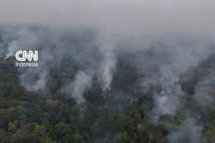 Titik Api di Amazonas Melonjak 253 Persen, 36 Kota Darurat dan Sekolah Manaus Ditutup
