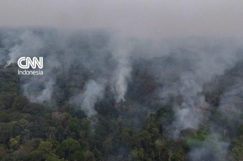 Titik Api di Amazonas Melonjak 253 Persen, 36 Kota Darurat dan Sekolah Manaus Ditutup