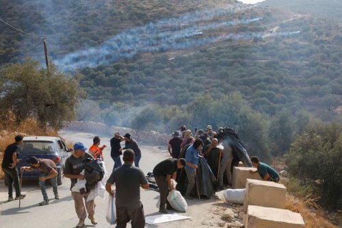 Panen Zaitun di Tepi Barat Berlangsung Mencekam, Petani Palestina Berlarian Dikejar Gas Air Mata