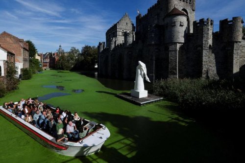 Suhu Ekstrem Ubah Kanal Bersejarah di Ghent Belgia, Permukaan Air Kini Hijau Terang