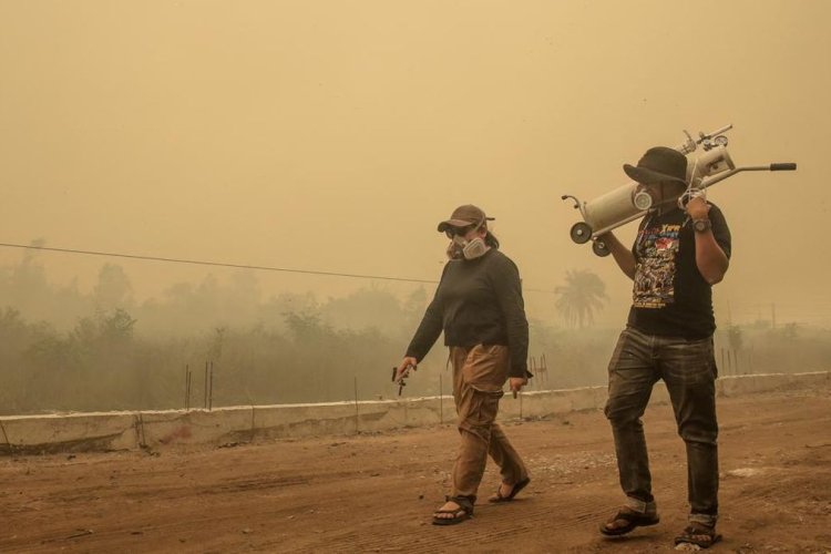 Kabut Asap Karhutla Ancam Kumbang Penyerbuk, Produksi Minyak Sawit Terancam Turun