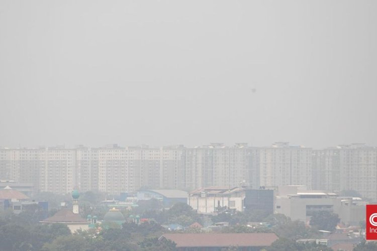 BMKG Pastikan Asap Karhutla Belum Menyebar ke Jakarta, Ini Penjelasannya