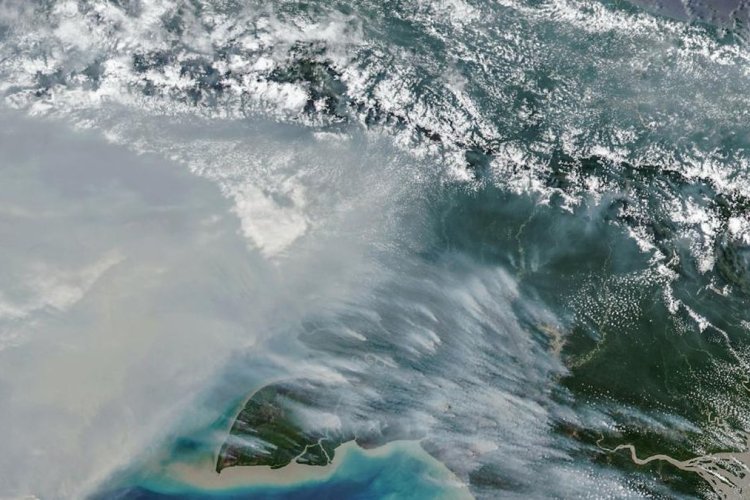 NASA Peringatkan Karhutla Papua, Emisi Karbon Tembus Rekor Baru